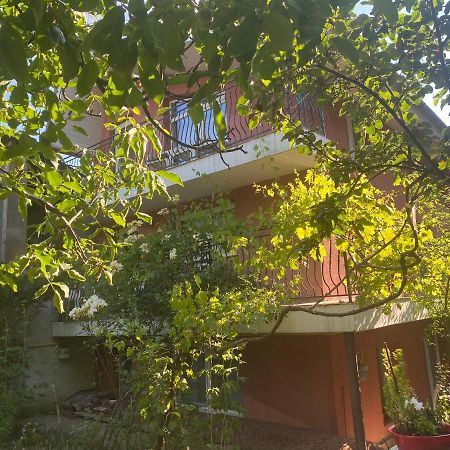 Ardelean Apartment 拉迪亚 外观 照片
