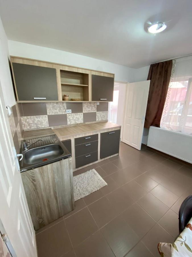 Ardelean Apartment 拉迪亚 外观 照片