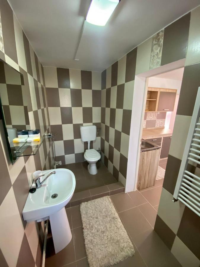 Ardelean Apartment 拉迪亚 外观 照片