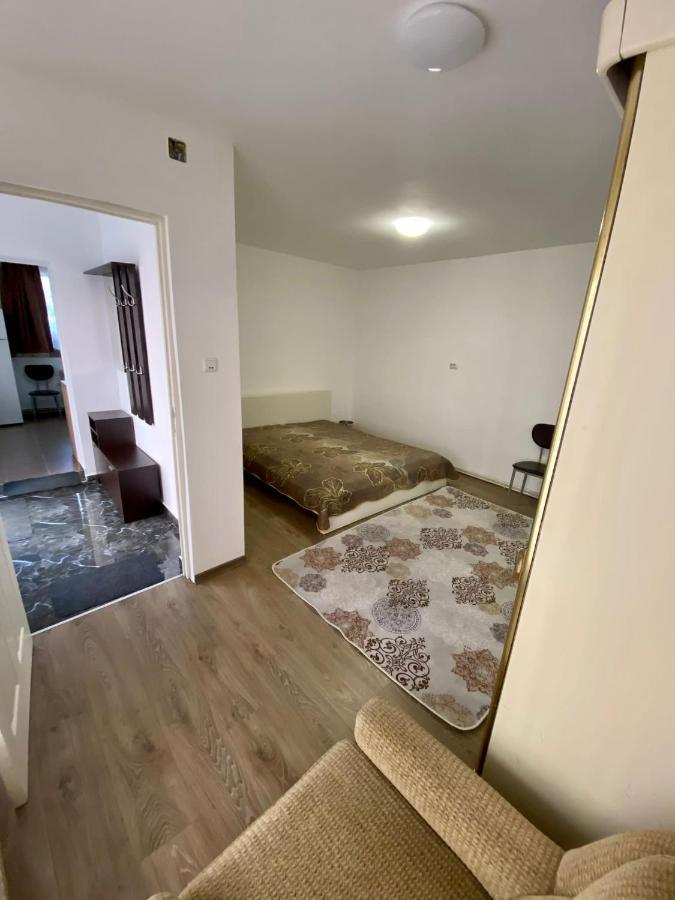Ardelean Apartment 拉迪亚 外观 照片