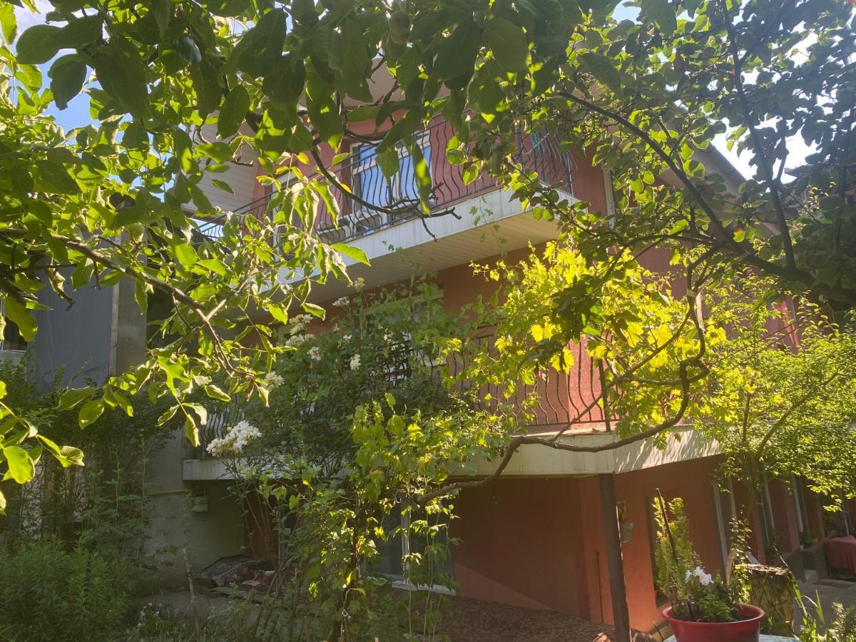 Ardelean Apartment 拉迪亚 外观 照片