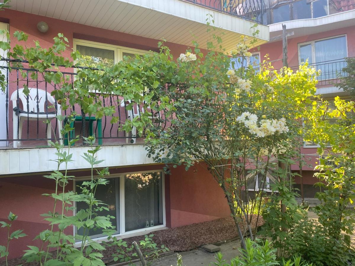 Ardelean Apartment 拉迪亚 外观 照片