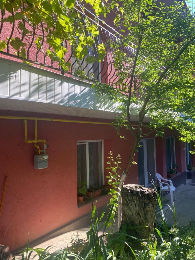 Ardelean Apartment 拉迪亚 外观 照片