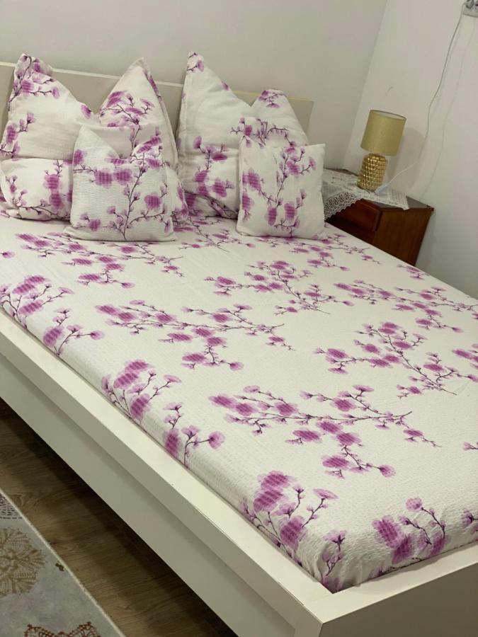 Ardelean Apartment 拉迪亚 外观 照片