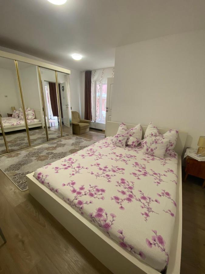 Ardelean Apartment 拉迪亚 外观 照片