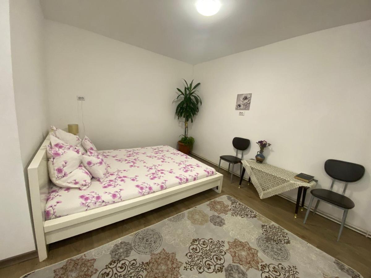 Ardelean Apartment 拉迪亚 外观 照片